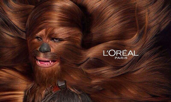 chewbacca meme