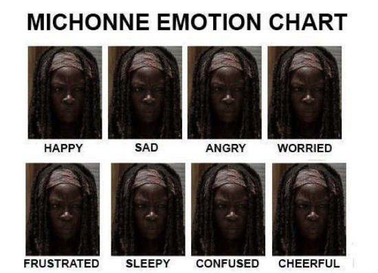 michonne meme