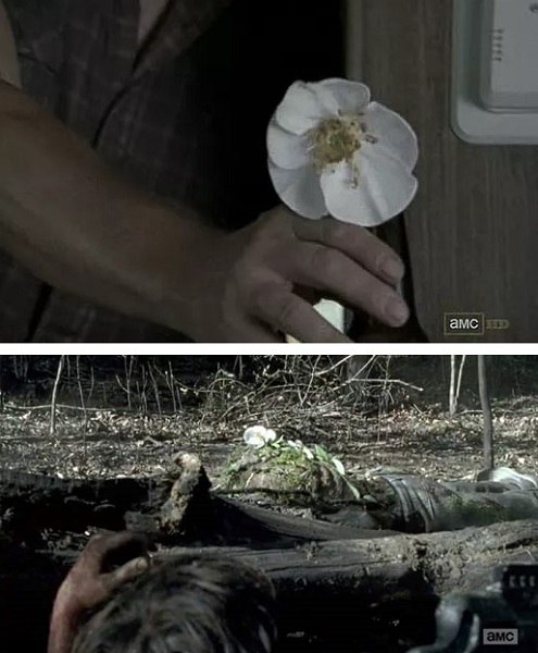 Cherokee Rose walking dead