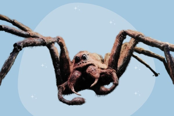 Aragog