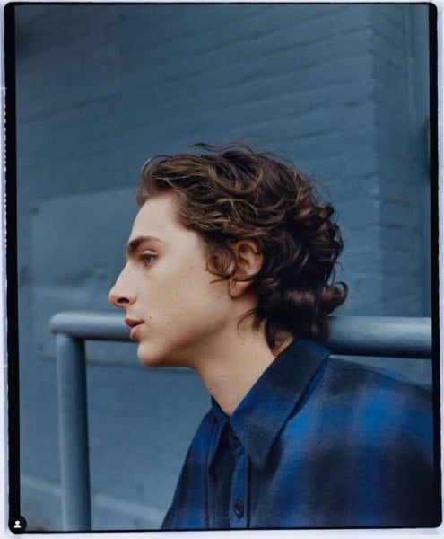 Timothée Chalamet