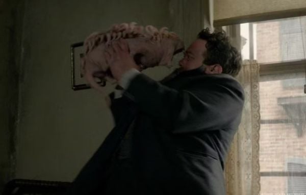 Murtlap Kowalski fantastic beasts