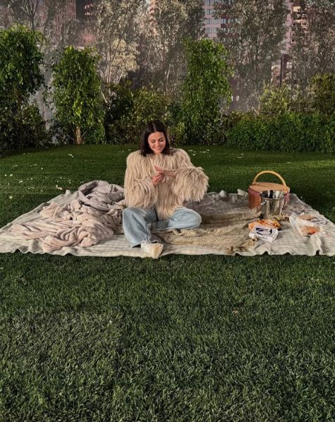 selena gomez picnic proposal