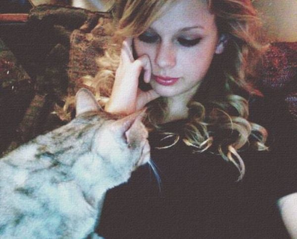 taylor swift and her cat Eliehsen