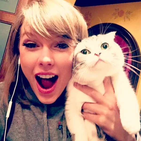 taylor swift and her cat Meredith Grey