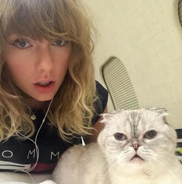 taylor swift and her cat Olivia Benson