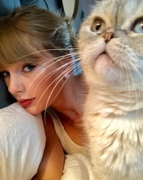 taylor swift wearing her cat earrings