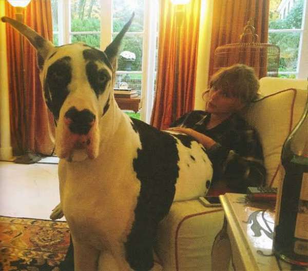 taylor swift and her mom's dog Kitty