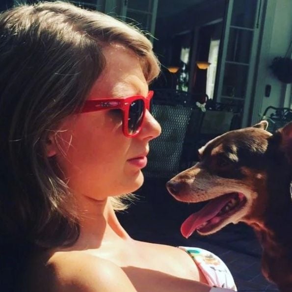 taylor swift and her dog baby