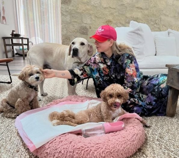 sia with her pet dogs