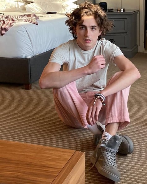 timothee chalamet 2020