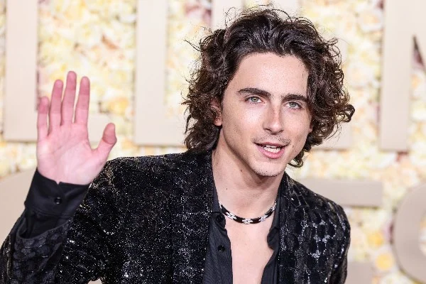 timothee chalamet in 2024