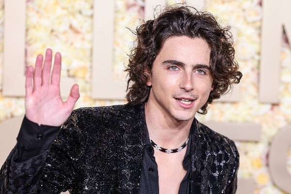 timothee chalamet in 2024